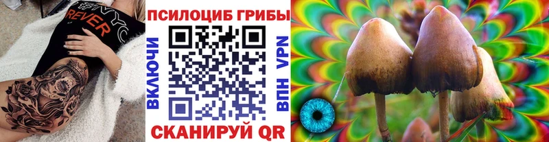 Галлюциногенные грибы Magic Shrooms  Абакан 