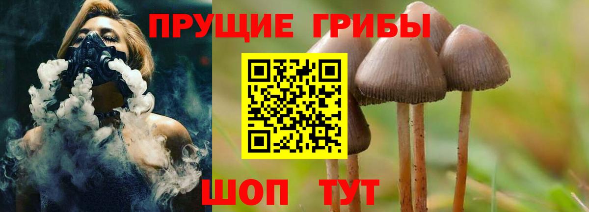 Абакан  Галлюциногенные грибы Psilocybe  Галлюциногенные грибы Cubensis  Вход с VPN 